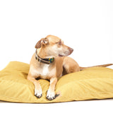 The Linden Lounger