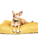 The Linden Lounger