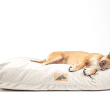 The Linden Lounger